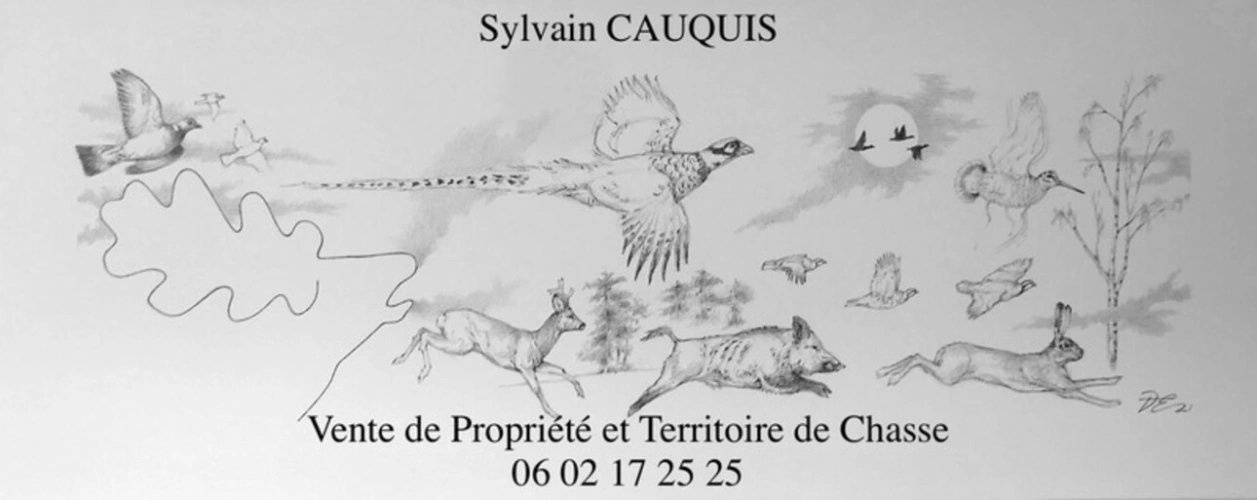 Photos 2 - Prestige - Propriété de Chasse et d'Agrément de 125 hectares en Sologne
