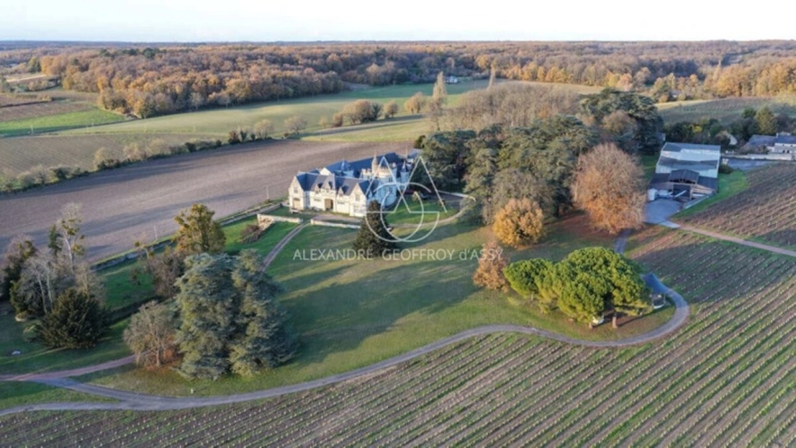 Photos 3 - Prestige - Château/vignoble d’appelation “Saumur” rénové. Idéal pour mariages et évènementiel