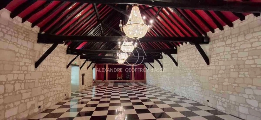 Photos 17 - Prestige - Château/vignoble d’appelation “Saumur” rénové. Idéal pour mariages et évènementiel