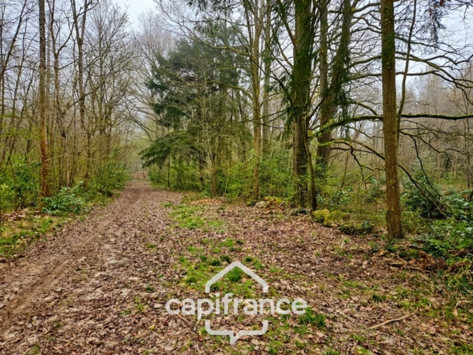 Photos 4 - Rurale - Là où l’eau, la pierre et la forêt se rejoignent, un domaine d’exception s’offre à vous : 9 hectares de nature préservée et de mémoire vivante, à transmettre et à faire revivre