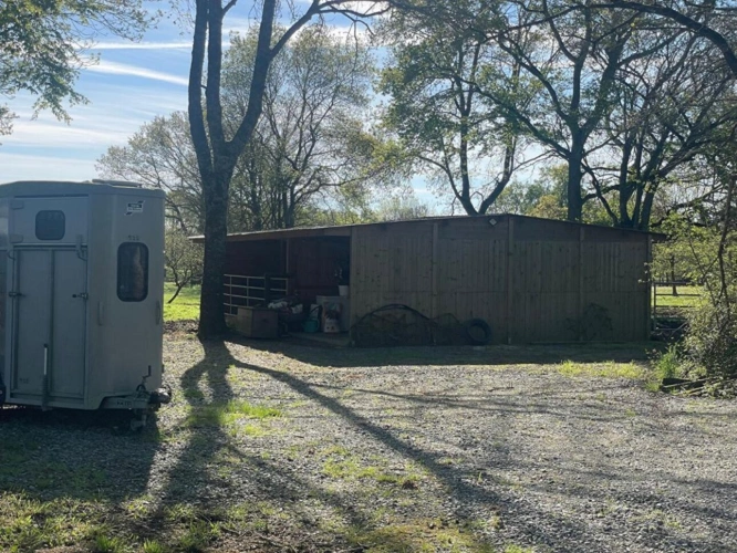 Photos 12 - Équestre - Propriété équestre 4,5 hectares,  Saffré 10 pièce(s) 240 m2