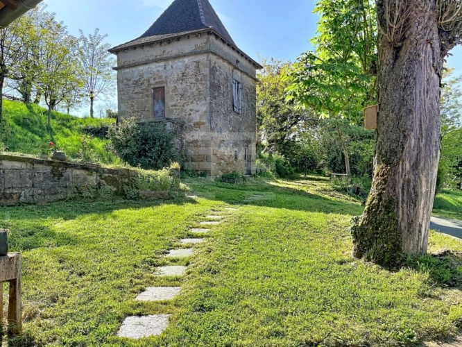 Photos 2 - Agricole - Bovine