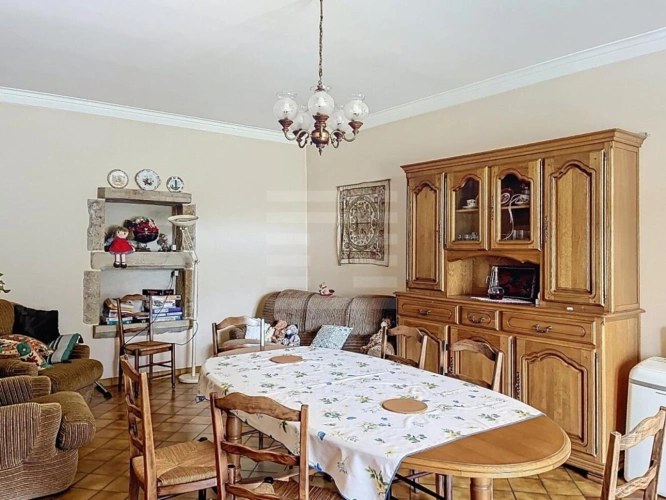 Photos 5 - Agricole - Bovine