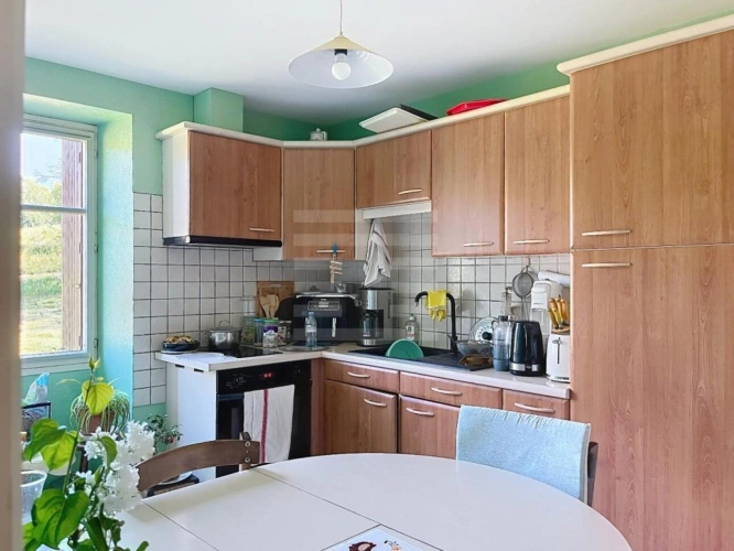 Photos 6 - Agricole - Bovine