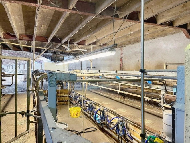 Photos 11 - Agricole - Bovine