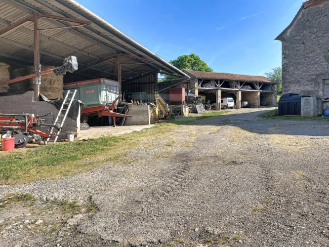 Photos 12 - Agricole - Bovine