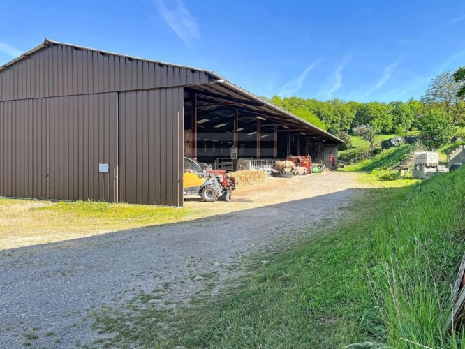 Photos 13 - Agricole - Bovine