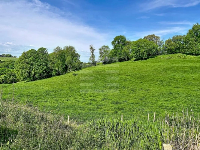 Photos 15 - Agricole - Bovine