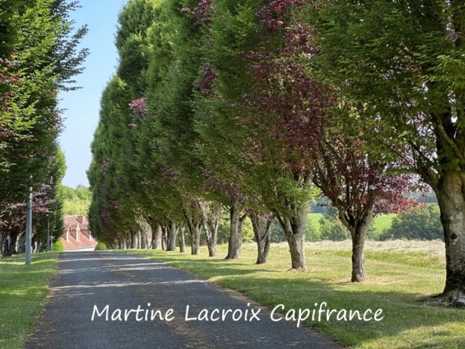 Photos 32 - Prestige - Dpt SARTHE (72), à vendre CORMES - PROPRIÉTÉ  P8 de 226 m² - Terrain de 2,50 Ha