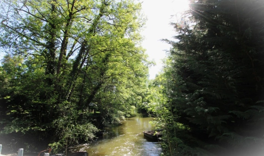 Photos 9 - Prestige - Propriete à vendre 20 pièces proche de ANGERS (49)