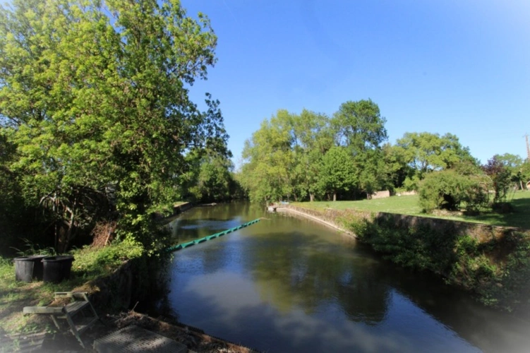 Photos 10 - Prestige - Propriete à vendre 20 pièces proche de ANGERS (49)