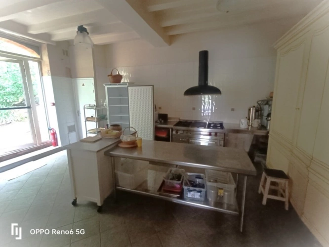 Photos 15 - Prestige - Propriete à vendre 20 pièces proche de ANGERS (49)