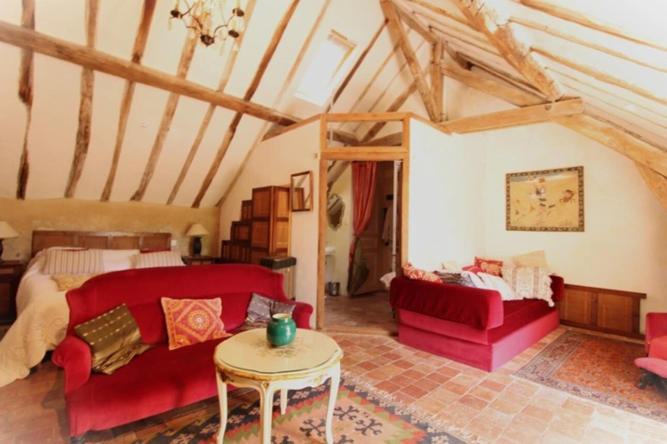 Photos 31 - Prestige - Propriete à vendre 20 pièces proche de ANGERS (49)