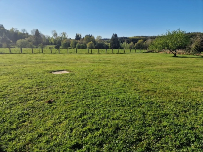 Photos 2 - Prestige - PROPRIÉTÉ à vendre 6 pièces BAINS LES BAINS (88) MAISON de Maître sur TERRAIN de 2239 m2