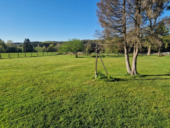 Photos 3 - Prestige - PROPRIÉTÉ à vendre 6 pièces BAINS LES BAINS (88) MAISON de Maître sur TERRAIN de 2239 m2