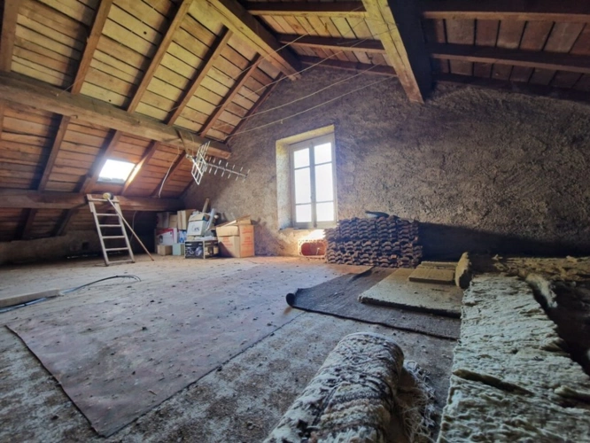 Photos 11 - Prestige - PROPRIÉTÉ à vendre 6 pièces BAINS LES BAINS (88) MAISON de Maître sur TERRAIN de 2239 m2