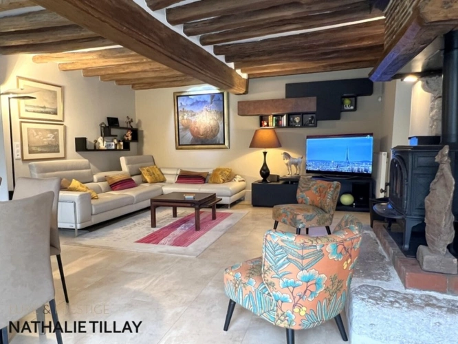 Photos 5 - Prestige - Propriete à vendre, GIDY  proche Orleans , piscine et parc