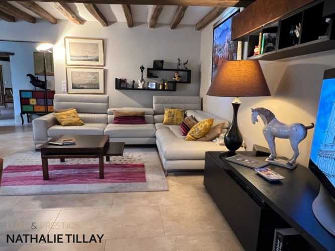 Photos 7 - Prestige - Propriete à vendre, GIDY  proche Orleans , piscine et parc