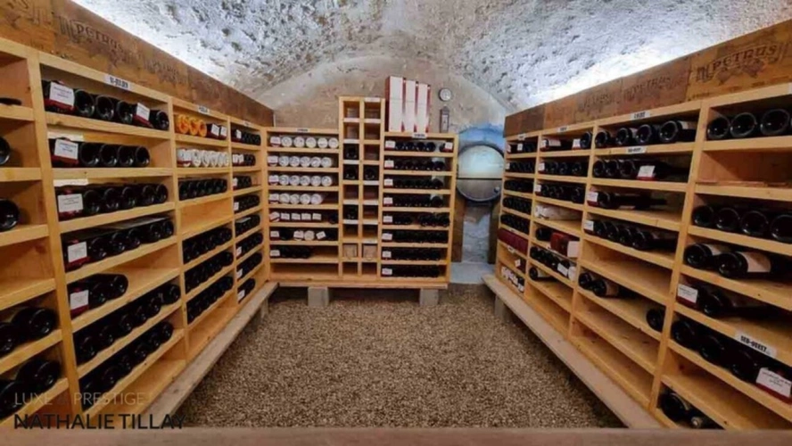 Photos 18 - Prestige - Propriete à vendre, GIDY  proche Orleans , piscine et parc