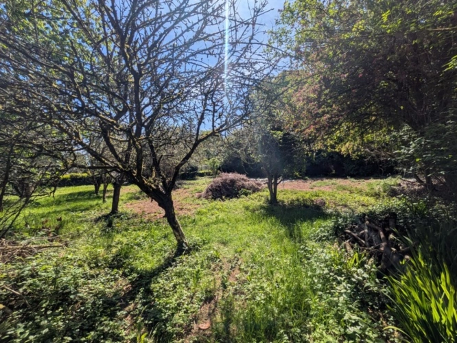 Photos 9 - Prestige - BUBRY PROPRIÉTÉ COMPOSÉE D' UNE BELLE MAISON BOURGEOISE DE 6 PIÈCES  190 M² ENVIRON GARAGE ET DÉPENDANCE PARCELLE DE 4160M² EN PARTIE AMÉNAGEABLE