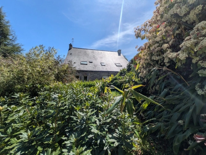 Photos 32 - Prestige - BUBRY PROPRIÉTÉ COMPOSÉE D' UNE BELLE MAISON BOURGEOISE DE 6 PIÈCES  190 M² ENVIRON GARAGE ET DÉPENDANCE PARCELLE DE 4160M² EN PARTIE AMÉNAGEABLE