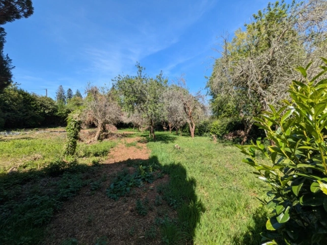 Photos 34 - Prestige - BUBRY PROPRIÉTÉ COMPOSÉE D' UNE BELLE MAISON BOURGEOISE DE 6 PIÈCES  190 M² ENVIRON GARAGE ET DÉPENDANCE PARCELLE DE 4160M² EN PARTIE AMÉNAGEABLE