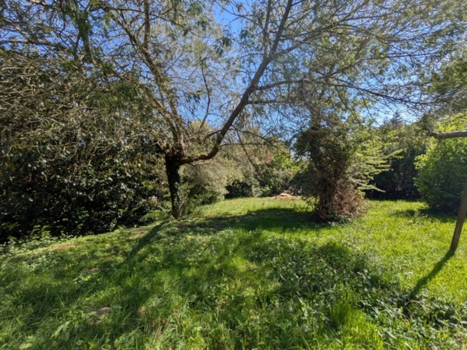 Photos 35 - Prestige - BUBRY PROPRIÉTÉ COMPOSÉE D' UNE BELLE MAISON BOURGEOISE DE 6 PIÈCES  190 M² ENVIRON GARAGE ET DÉPENDANCE PARCELLE DE 4160M² EN PARTIE AMÉNAGEABLE