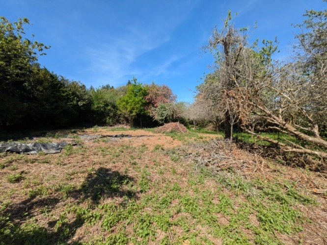 Photos 36 - Prestige - BUBRY PROPRIÉTÉ COMPOSÉE D' UNE BELLE MAISON BOURGEOISE DE 6 PIÈCES  190 M² ENVIRON GARAGE ET DÉPENDANCE PARCELLE DE 4160M² EN PARTIE AMÉNAGEABLE