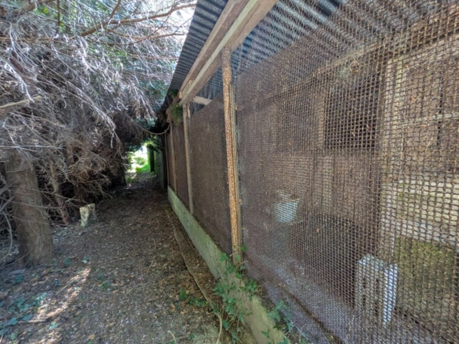 Photos 41 - Prestige - BUBRY PROPRIÉTÉ COMPOSÉE D' UNE BELLE MAISON BOURGEOISE DE 6 PIÈCES  190 M² ENVIRON GARAGE ET DÉPENDANCE PARCELLE DE 4160M² EN PARTIE AMÉNAGEABLE