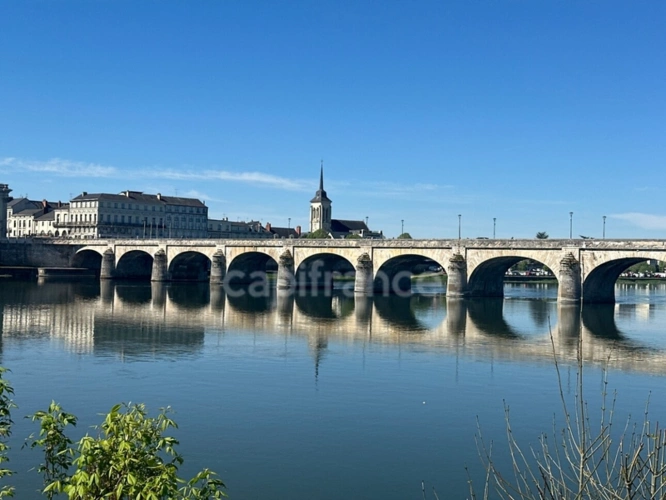 Photos 21 - Prestige - Exceptionnel au coeur de Saumur et des bords de loire une demeure de 375 m² - dépendances - Garages - jardin -1439m²