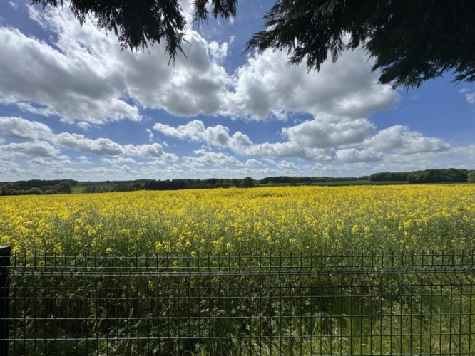 Photos 13 - Prestige - Propriété de charme dans un environnement préservé LOCHE-SUR