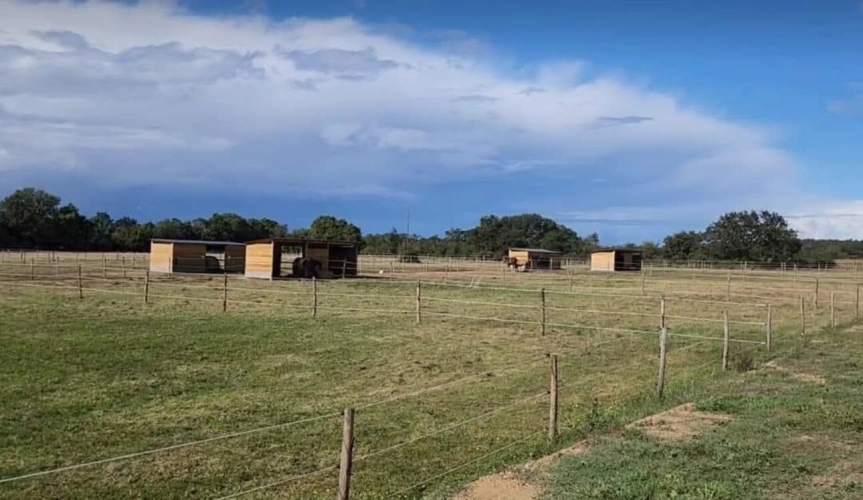 Photos 5 - Équestre - Maison 97 m2, 4,5 hectares