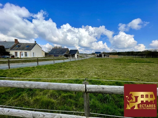 Photos 6 - Équestre - Maison 97 m2, 4,5 hectares