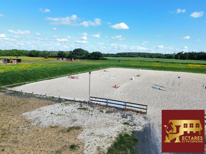 Photos 10 - Équestre - Maison 97 m2, 4,5 hectares