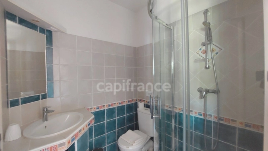 Photos 19 - Prestige - Propriete à vendre 7 pièces SAINT REMY DE PROVENCE (13)