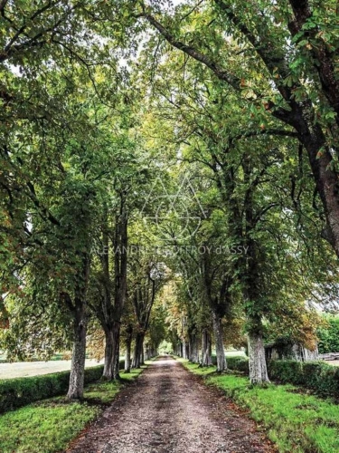 Photos 4 - Prestige - Superbe Château du XIXe avec 1km de rivière, rénové à 10min de Blois sur 22ha-possibilité d'acheter 63ha au total
