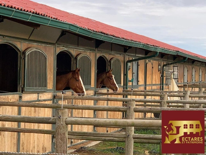 Photos 3 - Équestre - EXCLUSIVITE - Propriété Equestre sur 10 Hectares avec Manège