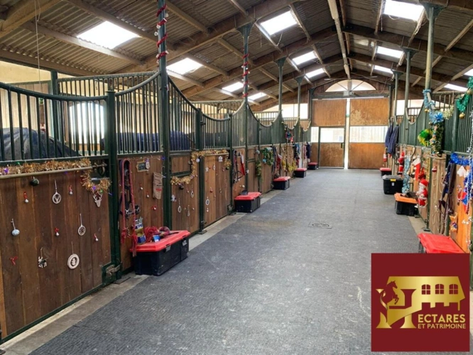 Photos 5 - Équestre - EXCLUSIVITE - Propriété Equestre sur 10 Hectares avec Manège