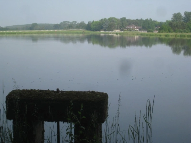 Photos 2 - Prestige - Propriete à vendre sur 35 hectares, 14 pièces, piscine, tennis, chasse, pêche, équitation, au cœur de la Dombes