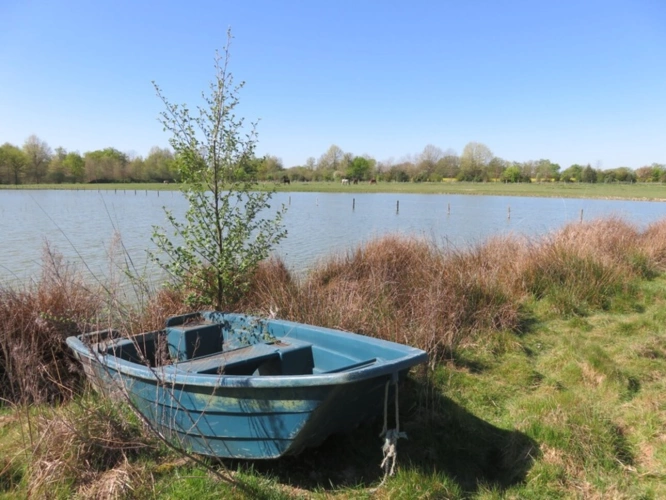 Photos 16 - Prestige - Propriete à vendre sur 35 hectares, 14 pièces, piscine, tennis, chasse, pêche, équitation, au cœur de la Dombes