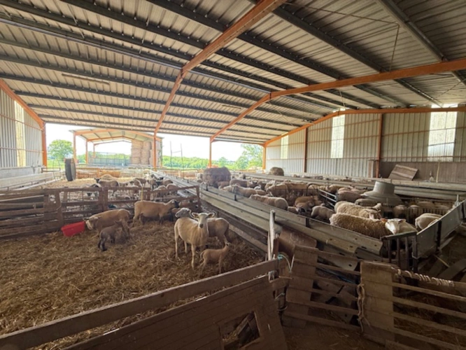 Photos 4 - Agricole - Exploitation en majorité céréale de 100 ha dans l’Indre
