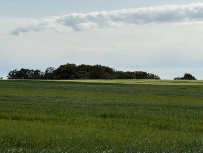 Photos 5 - Agricole - Exploitation en majorité céréale de 100 ha dans l’Indre