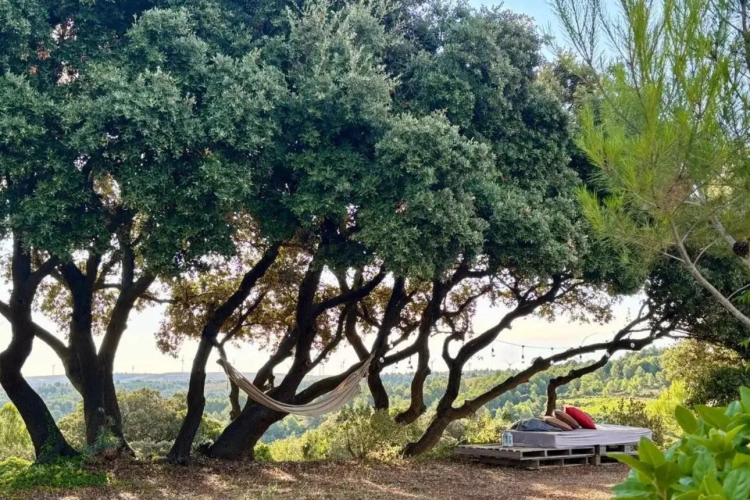 Photos 1 - Touristique - Propriété d’exception – Plus de 4 hectares avec gîtes et vue panoramique