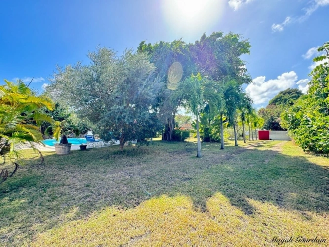 Photos 6 - Tourist - Dpt Guadeloupe (971), for sale SAINT FRANCOIS property P10 of 210 m² - Land of 1,539.00 m²