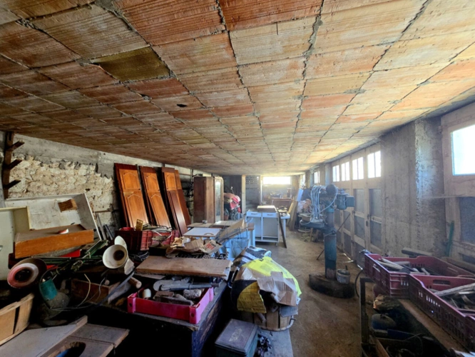 Photos 8 - Prestige - Propriété à fort potentiel – Hangars & bâtiments – 450 m² exploitables sur 15 000 m² de terrain aménageable – Changement de destination possible