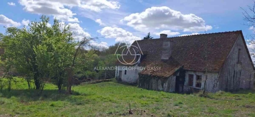 Photos 17 - Prestige - Superbe Château du XIXe avec 1km de rivière, rénové à 10min de Blois sur 63ha