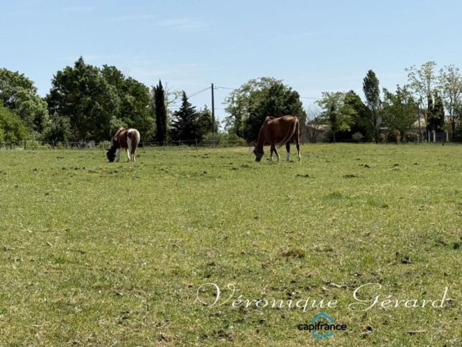 Photos 12 - Équestre - Ancien corps de ferme en pierre du XVIIIe siècle à LAUZUN