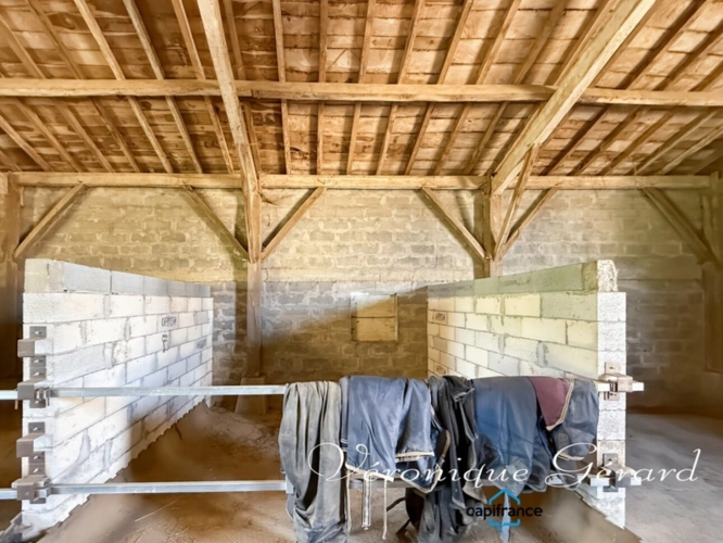 Photos 16 - Équestre - Ancien corps de ferme en pierre du XVIIIe siècle à LAUZUN