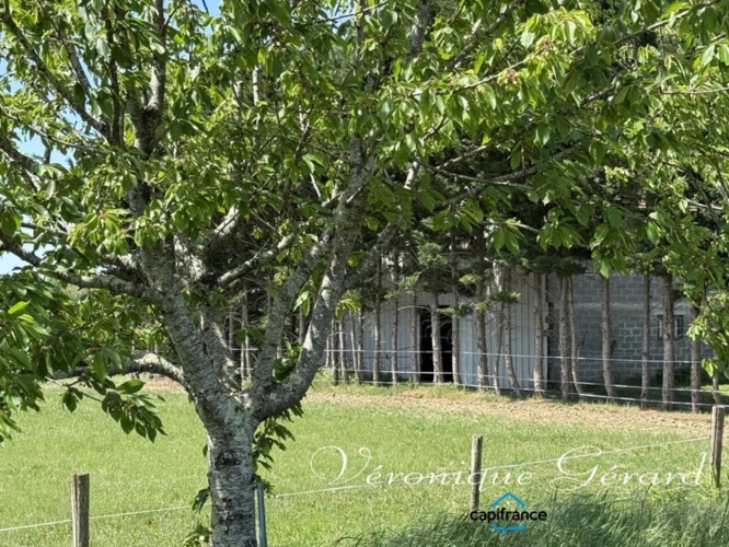 Photos 21 - Équestre - Ancien corps de ferme en pierre du XVIIIe siècle à LAUZUN