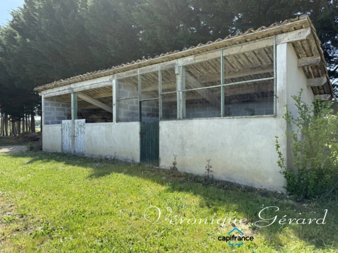 Photos 22 - Équestre - Ancien corps de ferme en pierre du XVIIIe siècle à LAUZUN